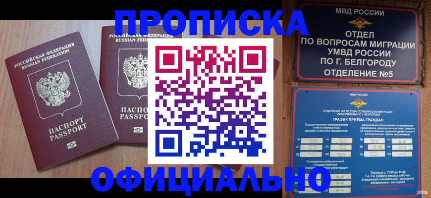 найти адрес прописки в Арамили